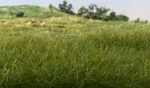 Woodland Scenics FS613 2MM Static Grass Dark Green New. Price: $5.39.