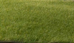 Woodland Scenics Dark Green 1/16IN 2MM Fibers Static Grass Field System FS613 New. Price: $6.98.